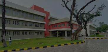 College Image